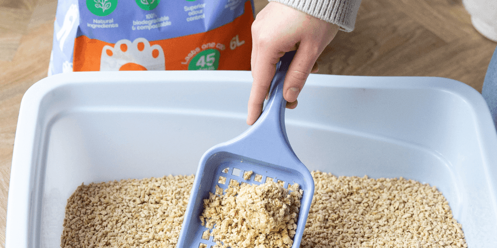 Best natural litter clearance for cats