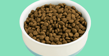 How much dry cat food should I feed my cat if I feed them wet cat food too?