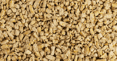 biodegradable cat litter