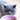 british shorthair food
