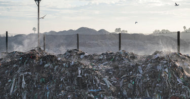 What is the impact of cat litter waste on the environment? - Tippaws