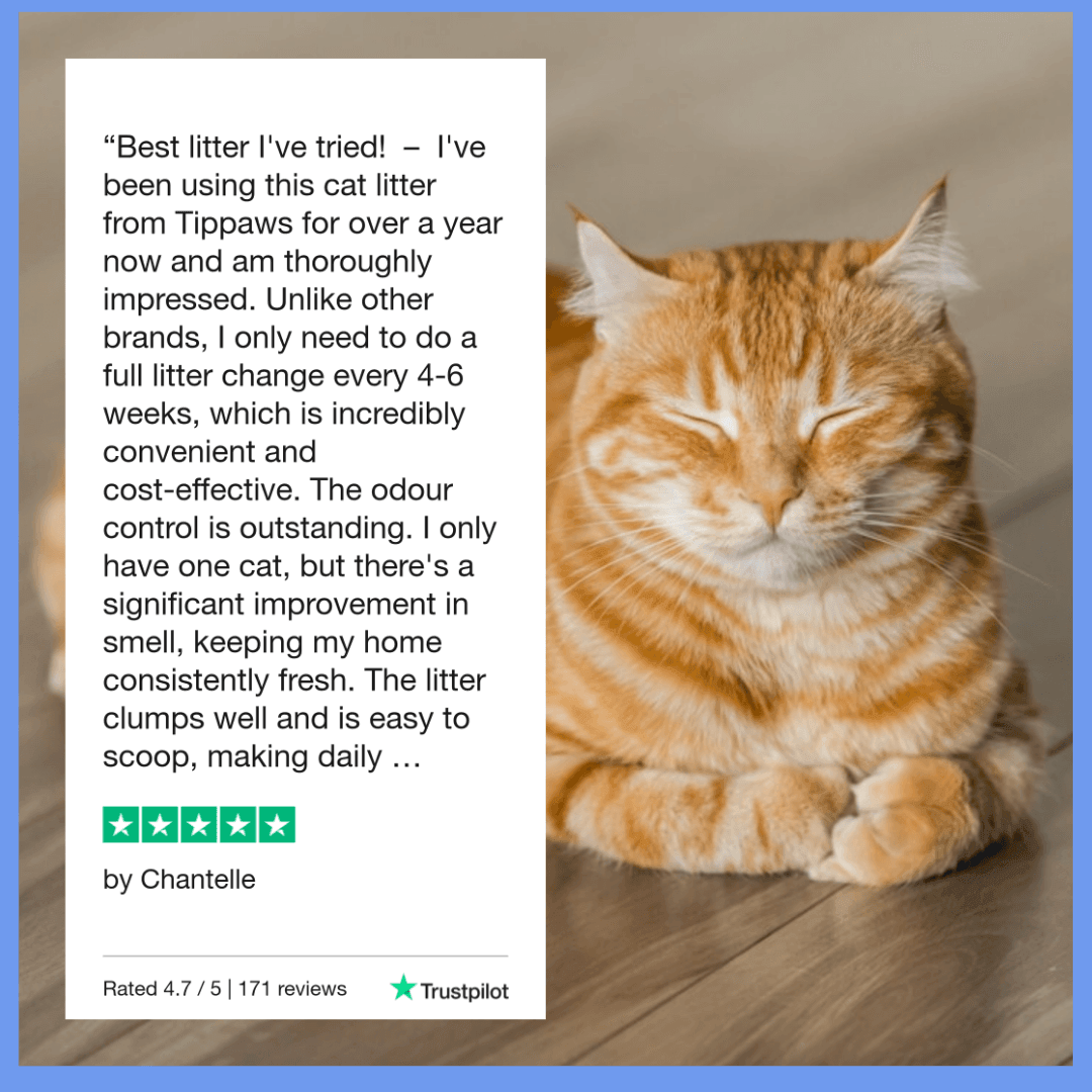 Tippaws Litter Review