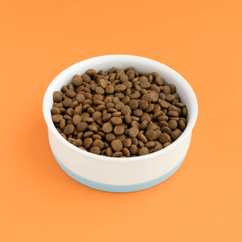 Turkey & chicken - dry cat food for adult cats - Tippaws