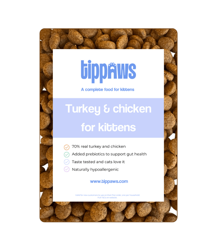 Turkey & chicken - dry cat food for kittens - Tippaws