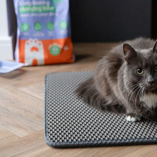 cat litter tray