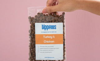 turkey and chicken cat food sample