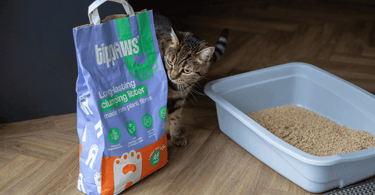 cat litter reviews