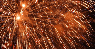 cats and fireworks 