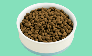 How much dry cat food should I feed my cat if I feed them wet cat food too?