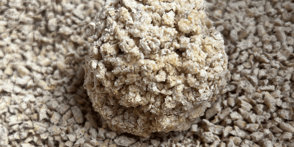 Should I use clumping litter or non-clumping litter? – Tippaws