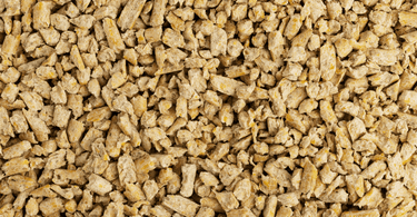 biodegradable cat litter