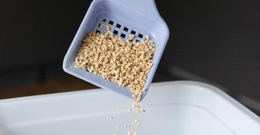 What is natural cat litter and why should I use it? - Tippaws
