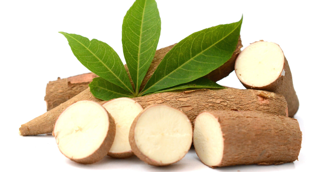 Why is yucca extract in cat food? Tippaws