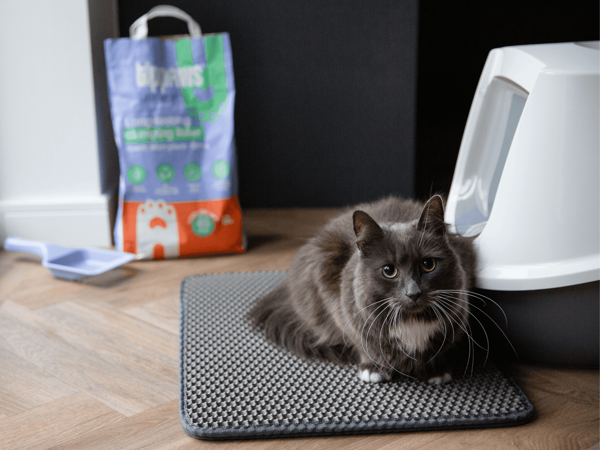 The Litter Guide how to use clumping litter Tippaws