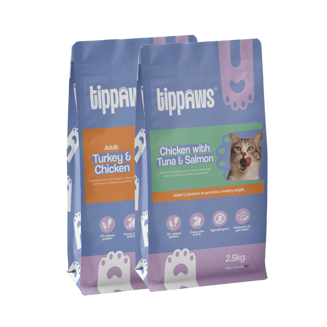 Dry cat food ratings clearance