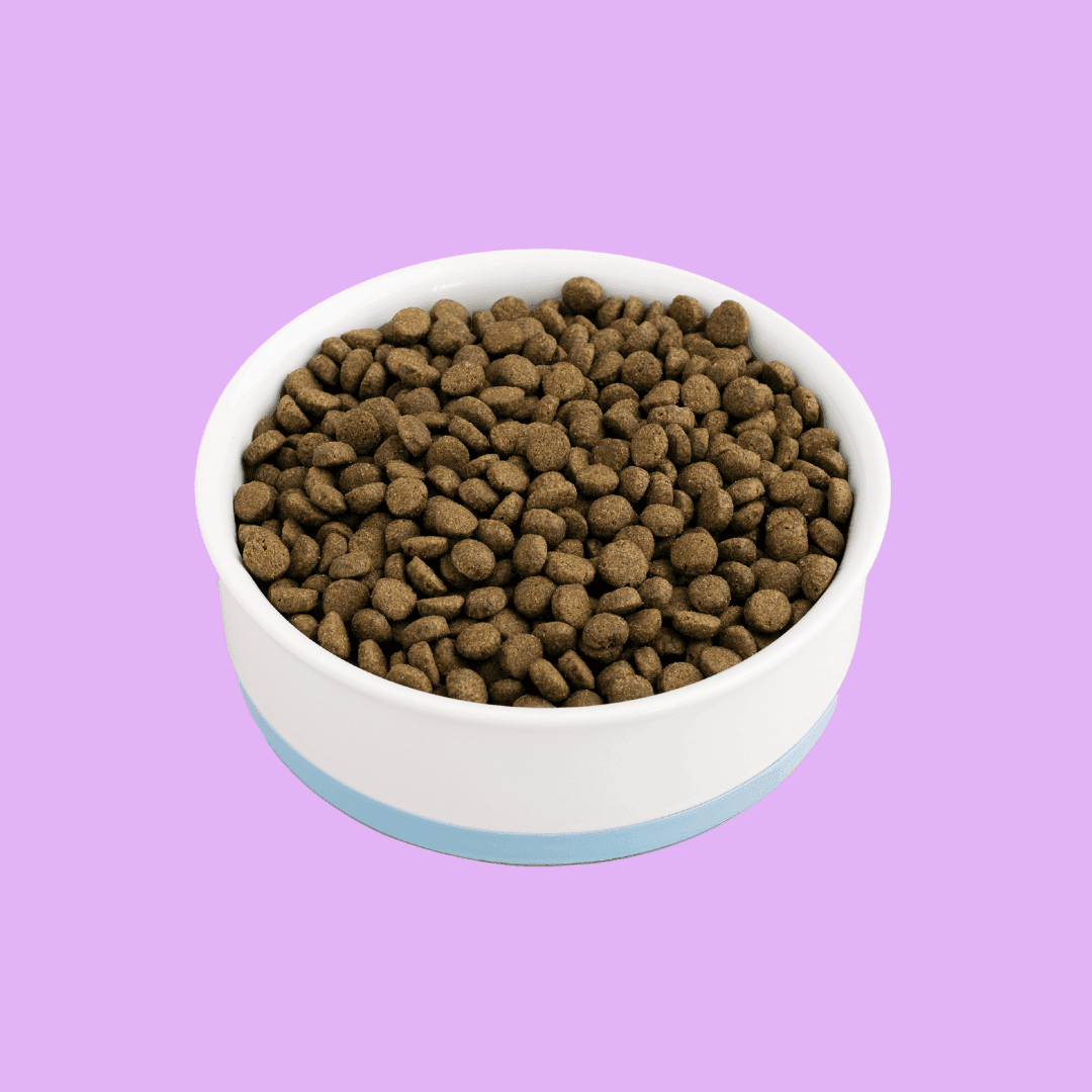 Salmon & white fish - dry cat food for neutered cats - Tippaws